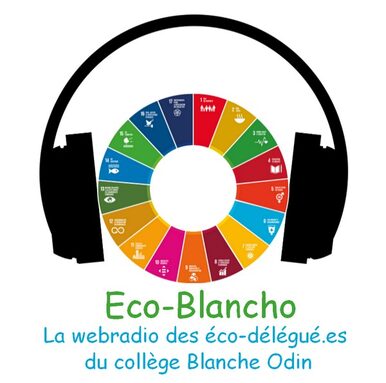 La webradio des éco-délégué.es du collège Blanche Odin